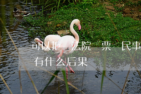 可以拒絕法院傳票嗎(民事糾紛法院傳票不去有什么后果)