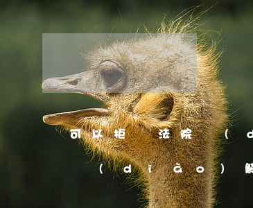可以拒絕法院調(diào)解嗎(法院通知調(diào)解被告拒絕去會(huì)怎么樣)