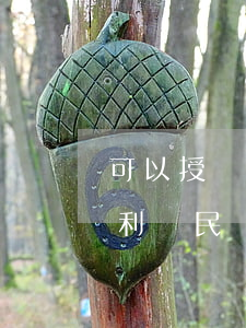 可以授權(quán)訴訟權(quán)利嗎(民訴法關(guān)于授權(quán)委托的規(guī)定)