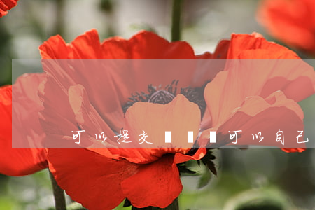 可以提交訴訟嗎(可以自己去法院提交訴訟嗎)