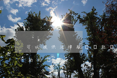 可以提供法律服務嗎(能夠提供法律服務和幫助的機構)