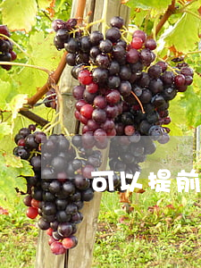 可以提前向法院起訴要回貨款嗎