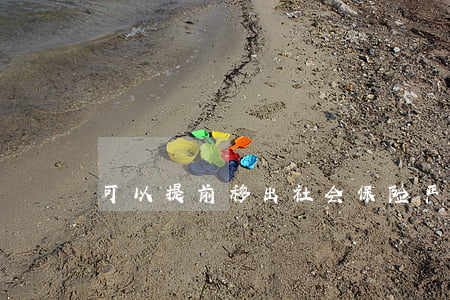 可以提前移出社会保险严重失信人名单吗