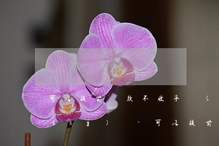 可以提前還款不收手續(xù)費的網(wǎng)貸-可以提前還款不收手續(xù)費的網(wǎng)貸有哪些