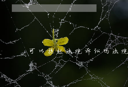 可以提起法院诉讼吗(法院可以起诉法院吗)