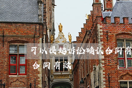 可以提起诉讼确认合同有效吗(起诉要求确认合同有效)