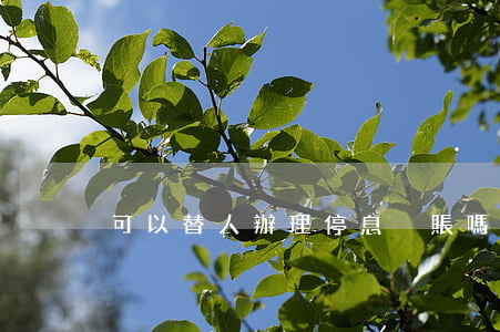 可以替人辦理停息掛賬嗎(停息掛賬合法嗎)