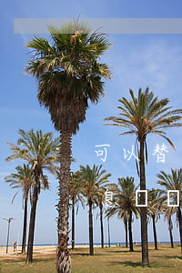 可以替別人申請停息掛賬嗎(自己可以申請停息掛賬嗎)