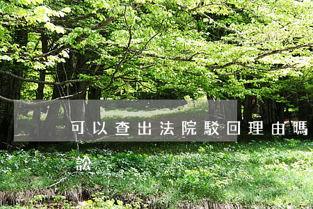 可以查出法院駁回理由嗎(法院為什么駁回訴訟)