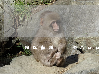 可以查判決書的App(法院判決書怎么查?)