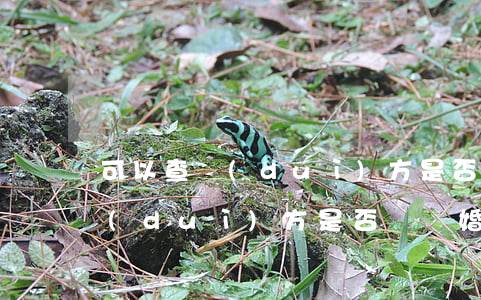可以查對(duì)方是否離婚嗎(怎么查對(duì)方是否離過婚)