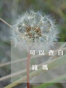 可以查自己違法嗎(自己可以查自己的違法記錄嗎)