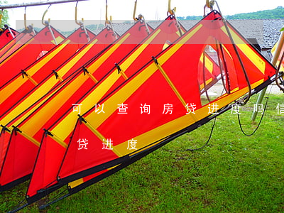 可以查询房贷进度吗（信用卡逾期怎么查询房贷进度）
