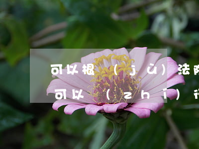 可以根據(jù)法院判決拍賣土地嗎(法院可以執(zhí)行拍賣農村宅基地嗎)