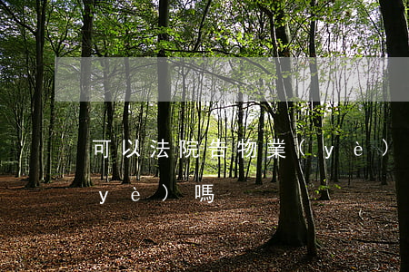 可以法院告物業(yè)嗎(可以起訴物業(yè)嗎)