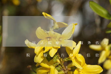 可以法院申請調取外省人信息嗎(怎么申請法院調取對方身份信息)