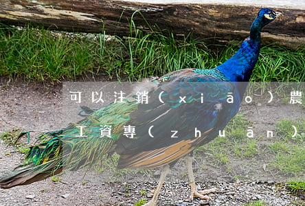 可以注銷(xiāo)農(nóng)民工工資專(zhuān)用賬戶(hù)的情形