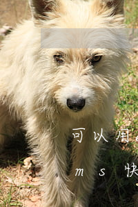 可以用ems快遞到法院立案庭嗎(可以用ems快遞到法院立案庭嗎)