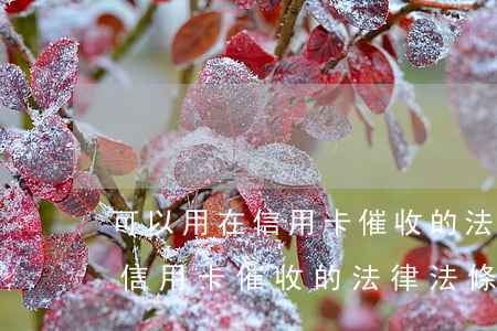 可以用在信用卡催收的法律法條-可以用在信用卡催收的法律法條有哪些