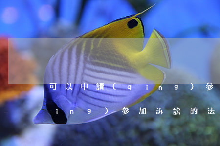 可以申請(qǐng)參加訴訟嗎(申請(qǐng)參加訴訟的法律規(guī)定)