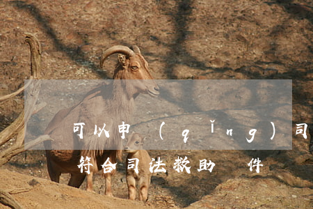 可以申請(qǐng)司法救濟(jì)嗎(符合司法救助條件)