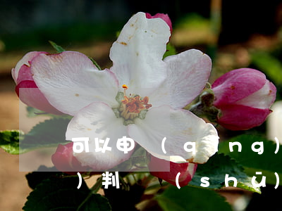 可以申請(qǐng)法院不公開(kāi)判決書(shū)嗎(哪些判決書(shū)不能公開(kāi))