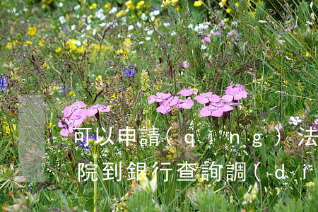 可以申請(qǐng)法院去銀行取證嗎(法院到銀行查詢調(diào)取證據(jù)需要提供的資料)