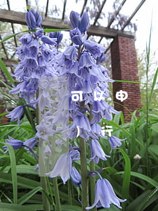 可以申請(qǐng)法院強(qiáng)行過戶嗎(什么情況不能強(qiáng)制過戶)