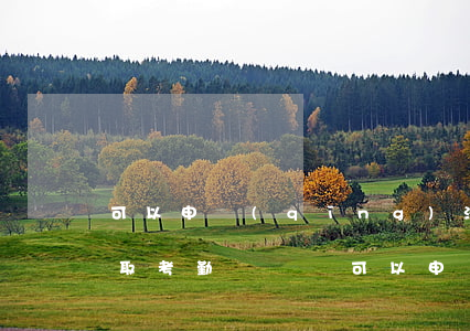 可以申請(qǐng)法院調(diào)取考勤記錄嗎(可以申請(qǐng)法院調(diào)取考勤記錄嗎)