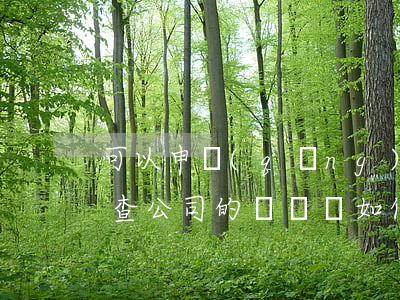 可以申請(qǐng)法院調(diào)查公司的賬戶嗎(如何調(diào)查公司賬戶信息)