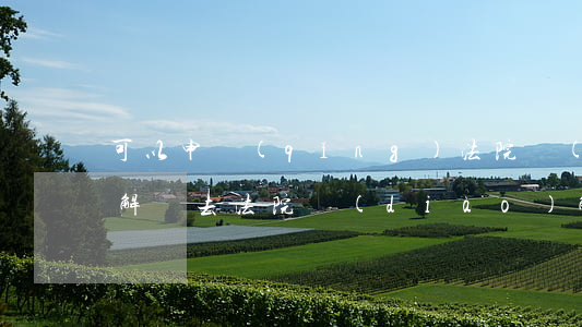 可以申請(qǐng)法院調(diào)解嗎(去法院調(diào)解需要注意什么)