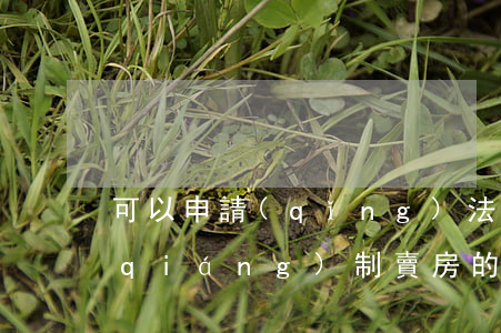 可以申請(qǐng)法院賣房嗎(法院強(qiáng)制賣房的條件)