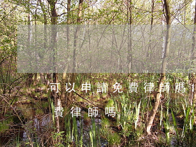 可以申請免費律師嗎(12348可以申請免費律師嗎)