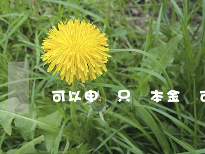 可以申請只還本金嗎?（可以只還本金么）