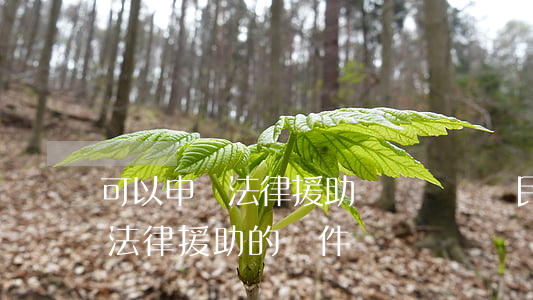 可以申請法律援助寫訴訟狀嗎(民事訴訟申請法律援助的條件)