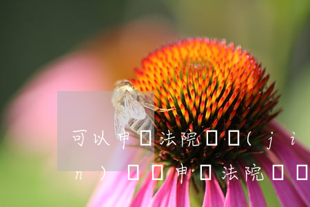 可以申請法院凍結(jié)房產(chǎn)證嗎(申請法院凍結(jié)房產(chǎn)要費(fèi)用嗎)