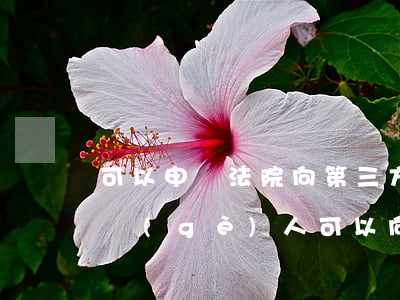 可以申請法院向第三方調(diào)查嗎(個(gè)人可以向法院申請調(diào)查令嗎)