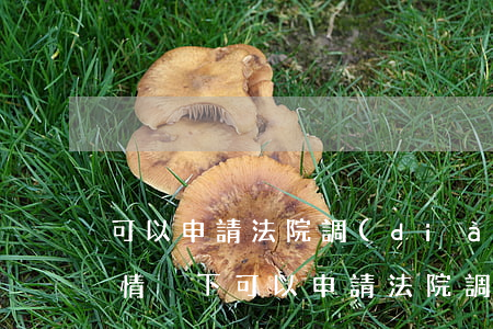 可以申請法院調(diào)查取證嗎(什么情況下可以申請法院調(diào)查取證)