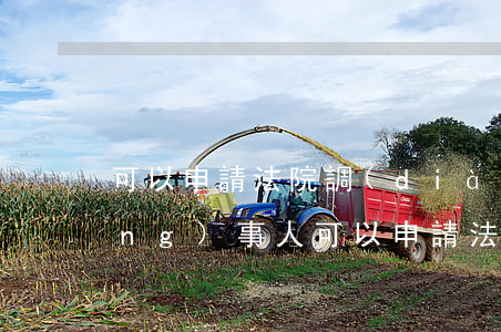 可以申請法院調(diào)查嗎(當(dāng)事人可以申請法院調(diào)查令嗎)