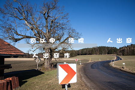 可以申請法院讓證人出庭嗎(法院可以要求證人出庭作證嗎)