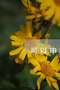 可以申請訴訟離婚嗎(如何提起離婚訴訟?)