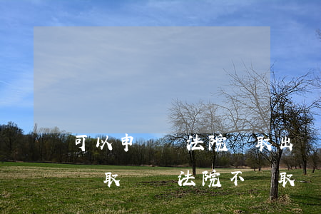 可以申請讓法院調取出來嗎(當事人申請法院調取證據法院不調取)