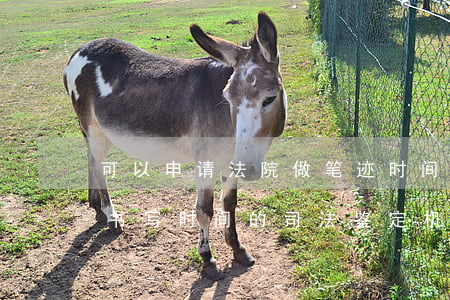 可以申请法院做笔迹时间鉴定吗(能够鉴笔迹书写时间的司法鉴定机构)