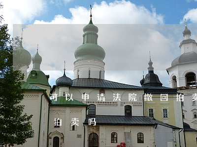 可以申请法院撤回拍卖吗(可以申请法院撤回拍卖吗)