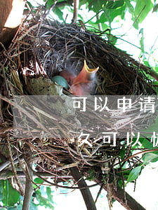 可以申请法院撤销限高吗(法院取消限高后多久可以恢复)