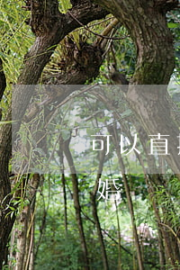 可以直接上法院起訴離婚嗎(起訴一定可以離婚嗎)