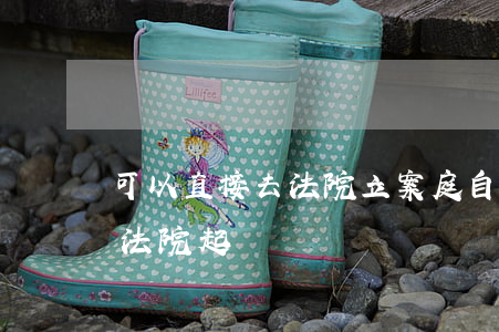 可以直接去法院立案庭自訴嗎(能不能直接去法院起訴)