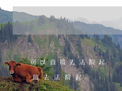 可以直接去法院起訴詐騙罪嗎(詐騙案可以直接去法院起訴嗎?)