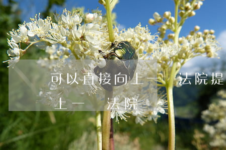 可以直接向上一級法院提起上訴嗎(上訴要到上一級法院嗎)