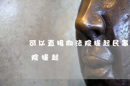 可以直接向法院提起民事訴訟嗎(可向人民法院提起訴訟)